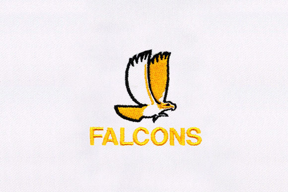 Falcon Embroidery: A Designer’s Review for Handmade Gifts